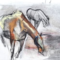 equine art art équestre dessin pastel sur papier